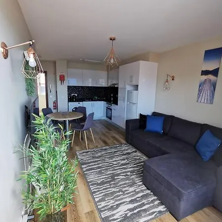 Alegria A Funchal (Madeira)